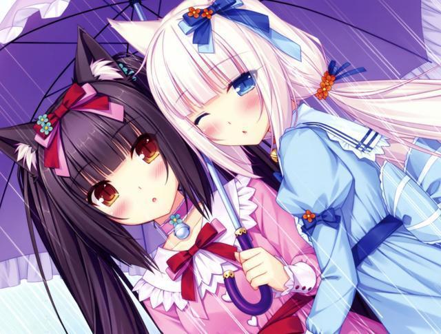 血小板的日文学一学？你真的会念你老婆的名字吗？