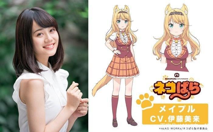 又要吸猫啦！《巧克力与香子兰》TV动画化決定！特报影像公开