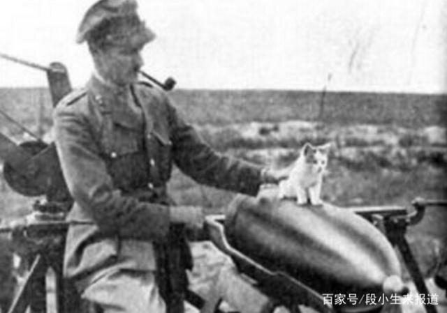 警猫？打扰了，打扰了