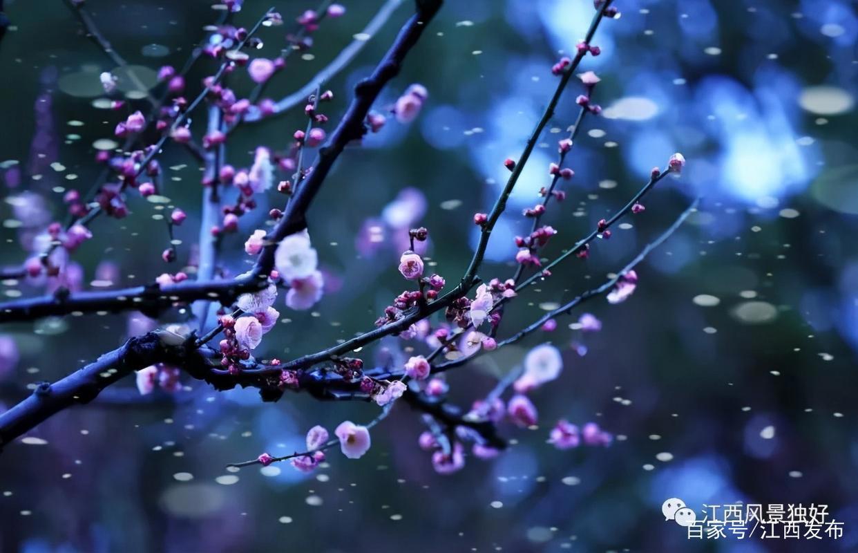朱虹：十论江西文化