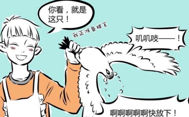 非人哉：不管是现实还是梦境，海燕都挺惨