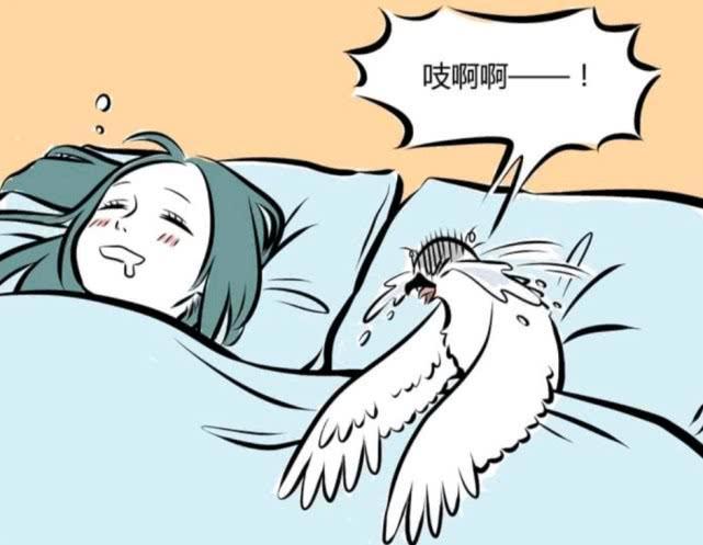 非人哉：不管是现实还是梦境，海燕都挺惨
