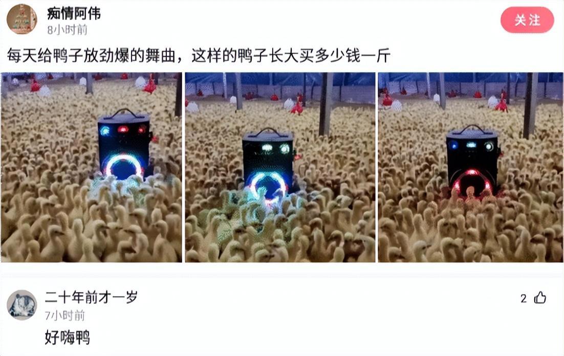 神回复：有人说我长得像小李子，大家觉得像吗？