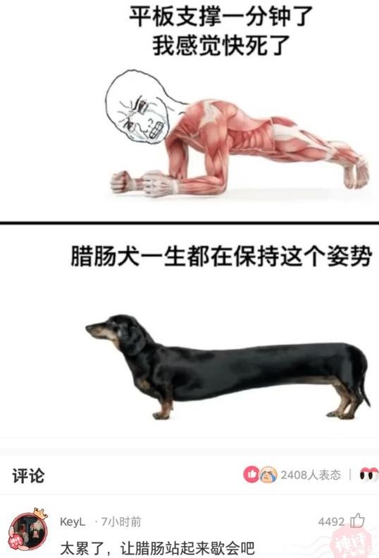 神回复：有人说我长得像小李子，大家觉得像吗？