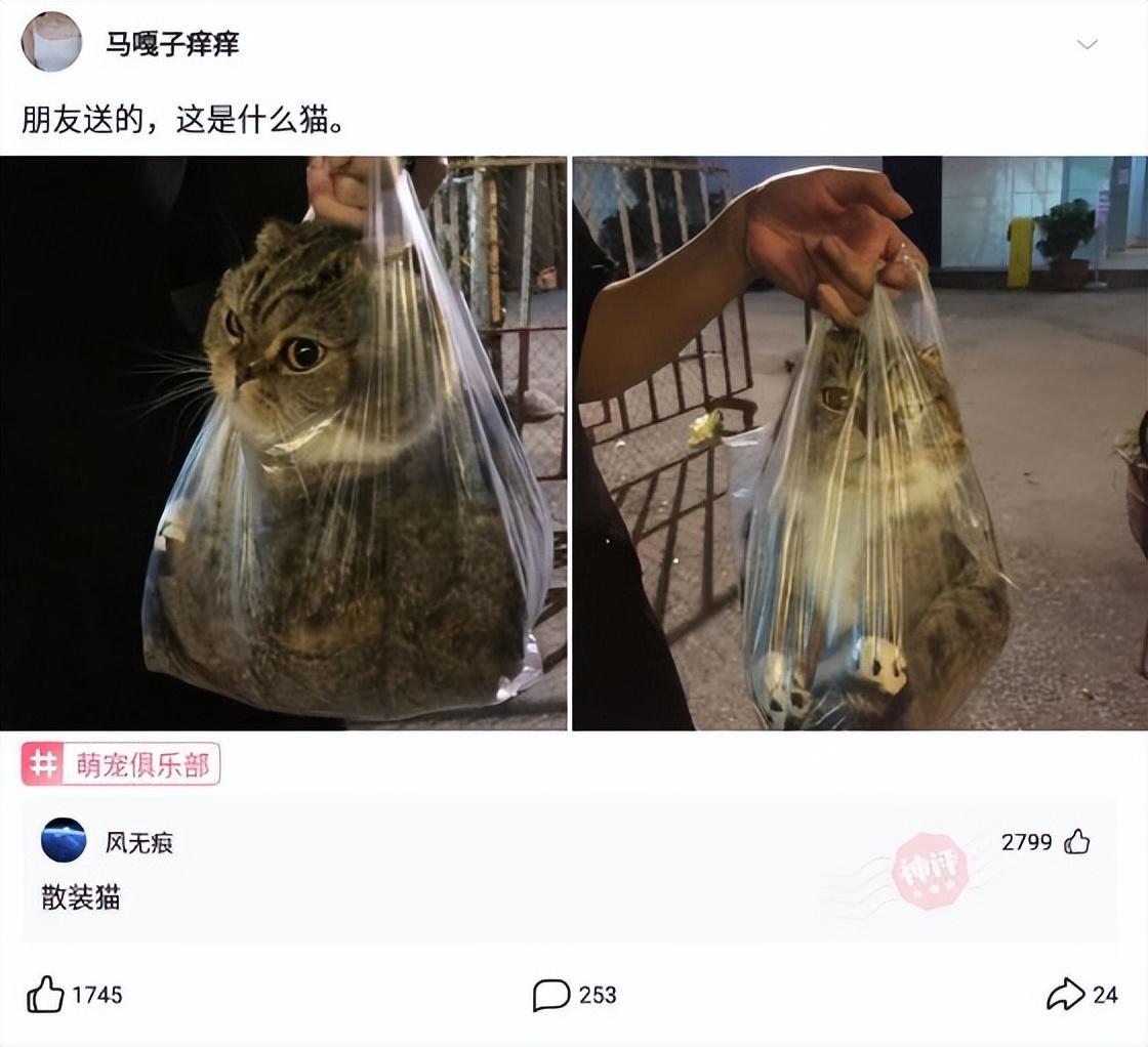 神回复：有人说我长得像小李子，大家觉得像吗？