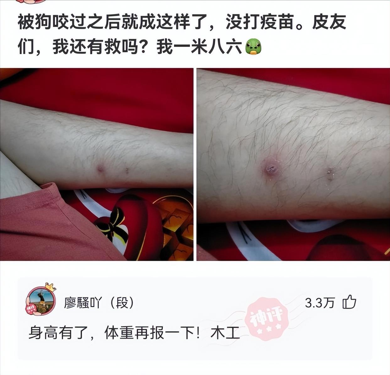 神回复：有人说我长得像小李子，大家觉得像吗？