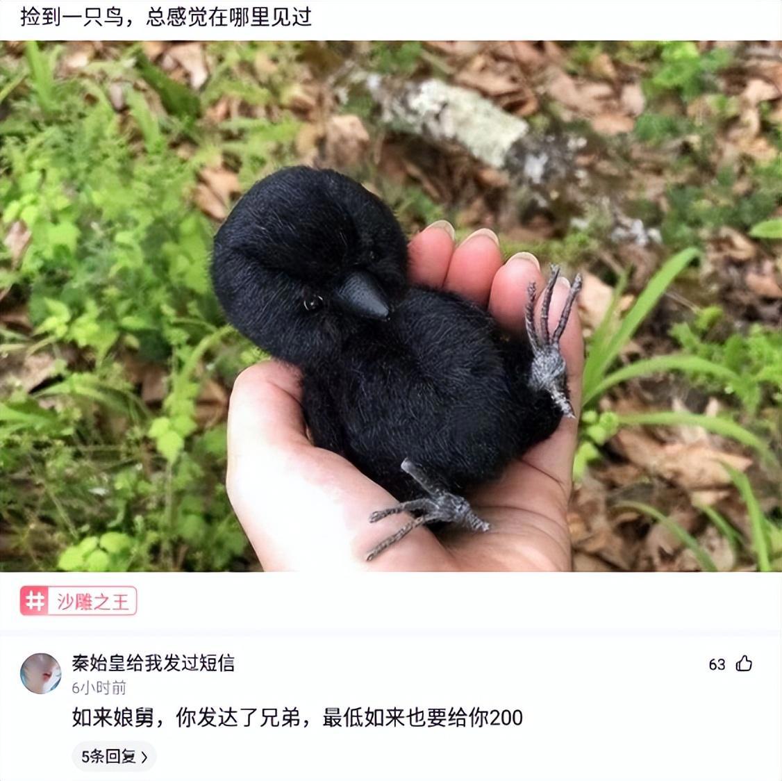 神回复：有人说我长得像小李子，大家觉得像吗？