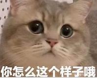 日本民间传说中的妖怪，除了雪女、河童，你们还知道哪些？