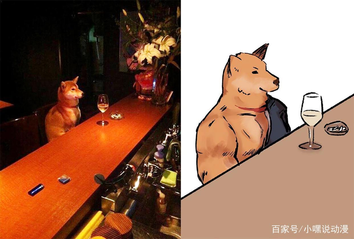 漫画师脑洞新奇，三次元猫狗拟人化成肌肉猛男，不服都不行