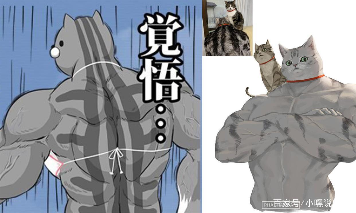 漫画师脑洞新奇，三次元猫狗拟人化成肌肉猛男，不服都不行