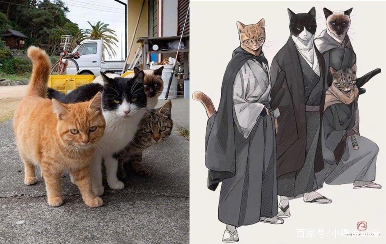 漫画师脑洞新奇，三次元猫狗拟人化成肌肉猛男，不服都不行