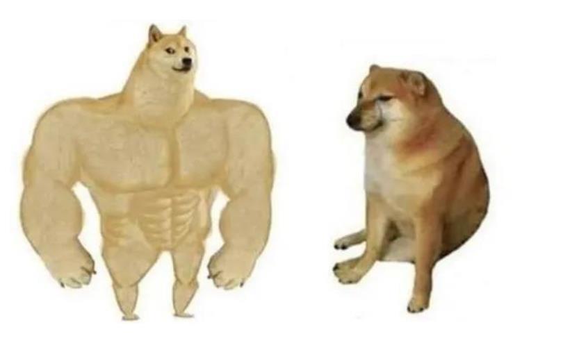 这只在二次元很火的“肌肉”柴犬，大佬将它在三次元里还原出来了