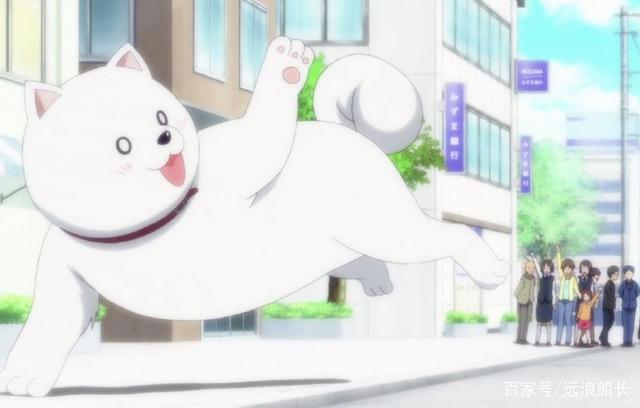 盘点：那些年动漫里出现的萌宠！