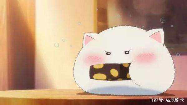 盘点：那些年动漫里出现的萌宠！