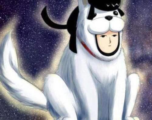 一拳超人：三条最厉害的犬，其中一个还是人为的，但实力不可小觑