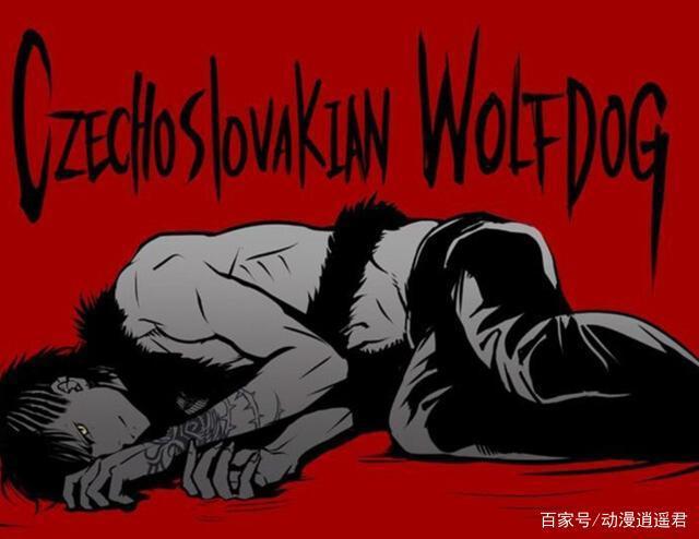 当汪星人参与拟人大业后，二哈颜值高到吓人，神烦狗有点帅