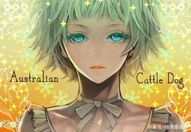 当汪星人参与拟人大业后，二哈颜值高到吓人，神烦狗有点帅