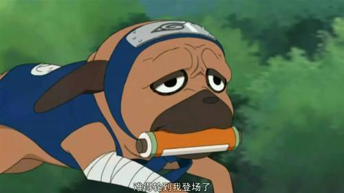全世界最幸福的流浪狗都在这些动漫中，希望现实的流浪狗也能如此
