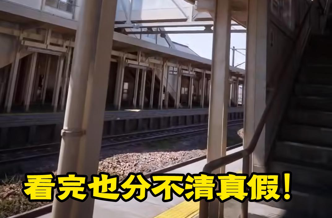 喜报！《金装的维尔梅》公开PV效果非常棒！