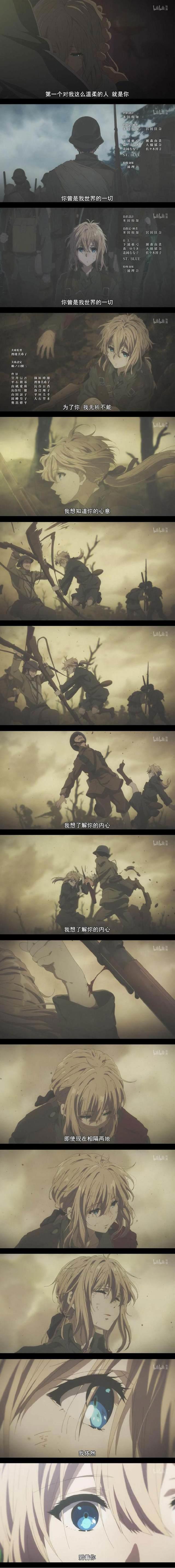 怎么看Citrus、小樱、紫罗兰永恒花园？