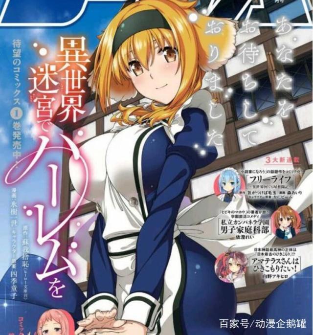 异世界冒险？不如赚钱买兽耳娘，这些动漫男主太真实了！