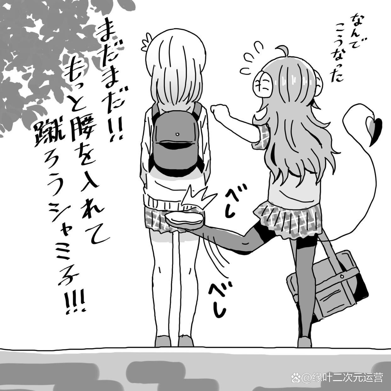 贴贴厨狂喜，猫咪搓手，《LycorisRecoil》千束向泷奈“求婚”