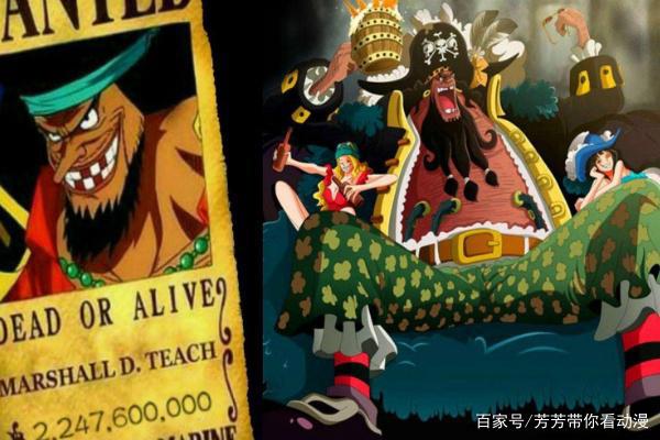 海贼王悬赏金顶点的海贼，十亿悬赏起步，新星除路飞外还有一位！