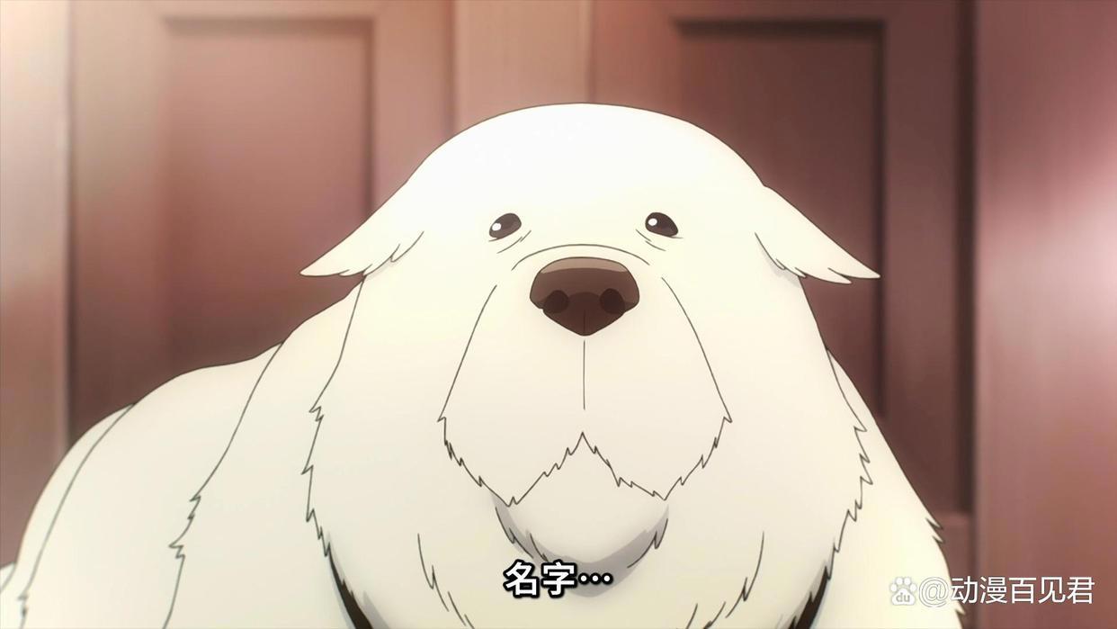 这就是火出圈的动漫吗，从第一季，到第二季开播只用了3个月！