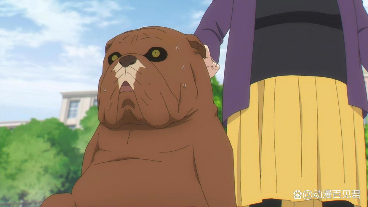 这就是火出圈的动漫吗，从第一季，到第二季开播只用了3个月！