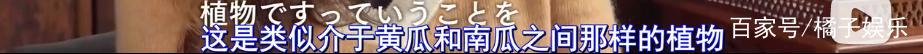 从孤僻天才到“宠妻狂魔”，被爱拯救的庵野秀明，开始变得可爱
