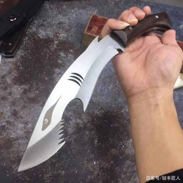 鉴赏，鲨鱼小狗腿