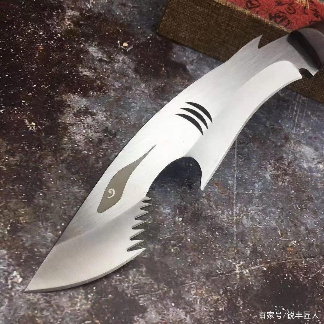 鉴赏，鲨鱼小狗腿