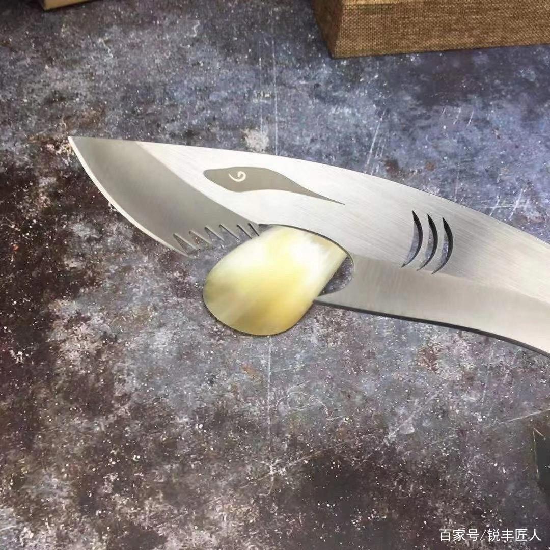 鉴赏，鲨鱼小狗腿