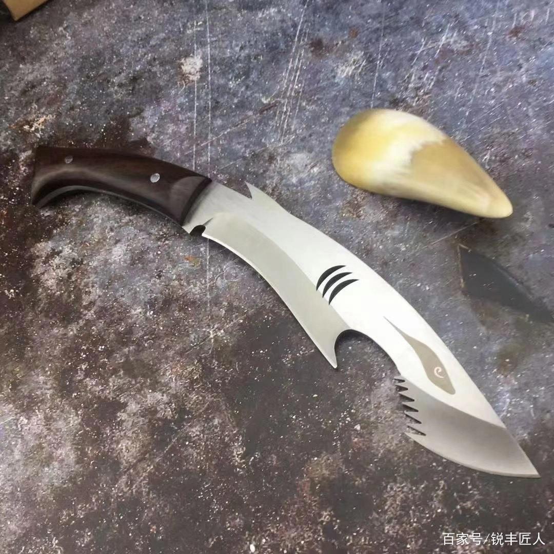 鉴赏，鲨鱼小狗腿