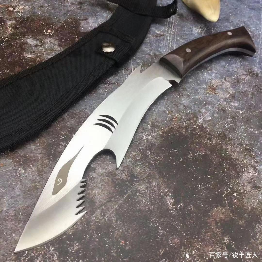 鉴赏，鲨鱼小狗腿