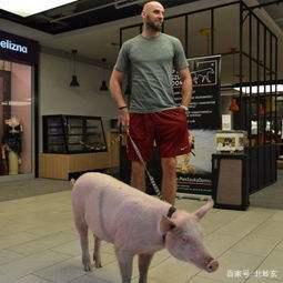 NBA球星养宠物到底有多秀？有人养鲨鱼，有人为狗打官司