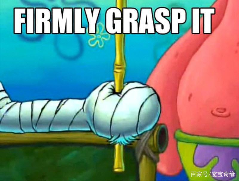 男子海钓竟钓到大鲨鱼，随行狗狗拼死相救的故事