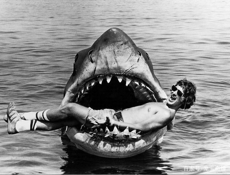 男子海钓竟钓到大鲨鱼，随行狗狗拼死相救的故事