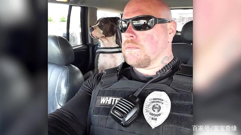 男子海钓竟钓到大鲨鱼，随行狗狗拼死相救的故事