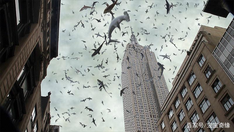 男子海钓竟钓到大鲨鱼，随行狗狗拼死相救的故事