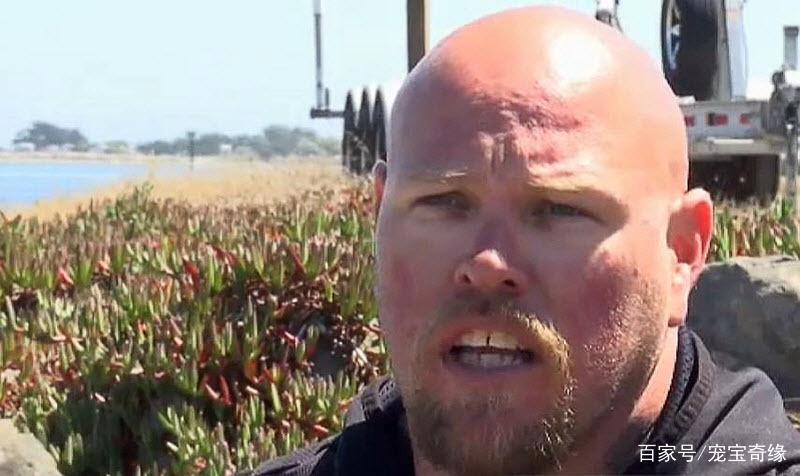 男子海钓竟钓到大鲨鱼，随行狗狗拼死相救的故事