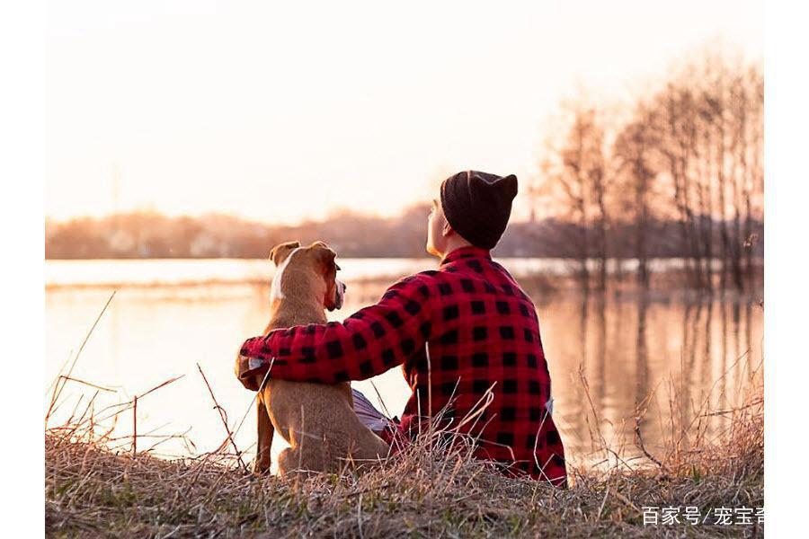 男子海钓竟钓到大鲨鱼，随行狗狗拼死相救的故事