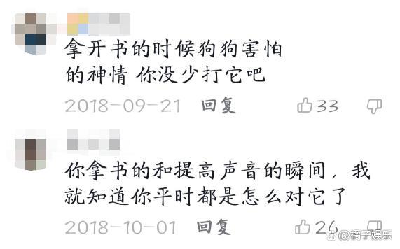 网红迷惑行为接连翻车？为博取流量不择手段，虐狗吃鲨鱼没底线？