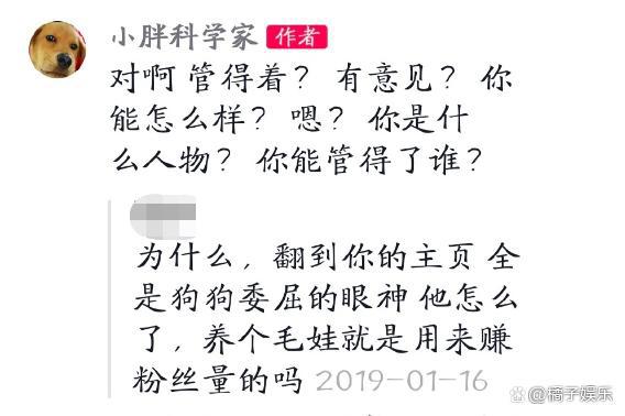 网红迷惑行为接连翻车？为博取流量不择手段，虐狗吃鲨鱼没底线？