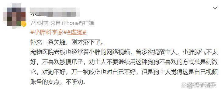 网红迷惑行为接连翻车？为博取流量不择手段，虐狗吃鲨鱼没底线？