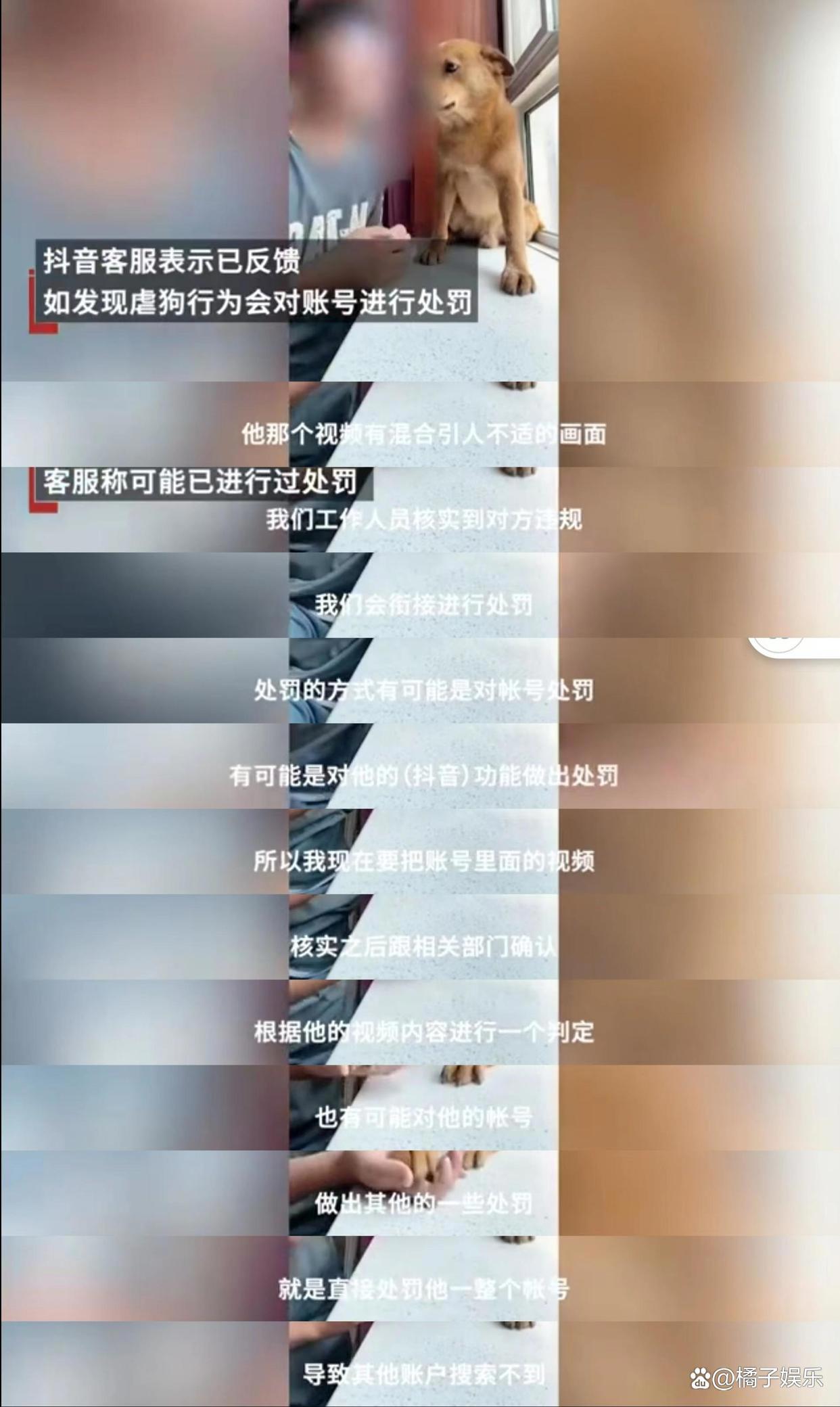 网红迷惑行为接连翻车？为博取流量不择手段，虐狗吃鲨鱼没底线？