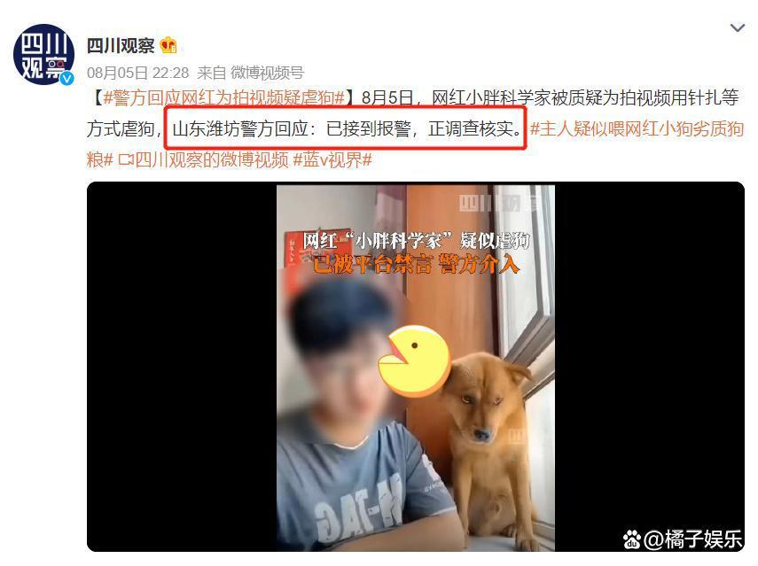 网红迷惑行为接连翻车？为博取流量不择手段，虐狗吃鲨鱼没底线？