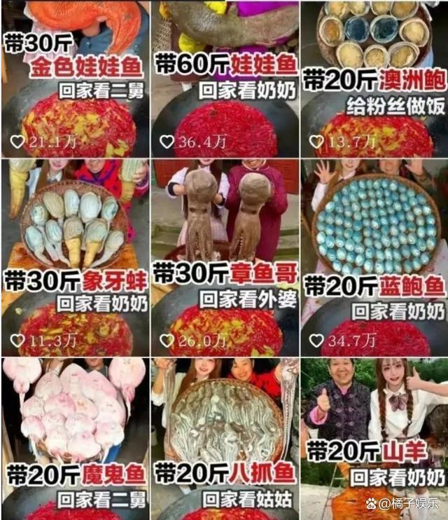 网红迷惑行为接连翻车？为博取流量不择手段，虐狗吃鲨鱼没底线？