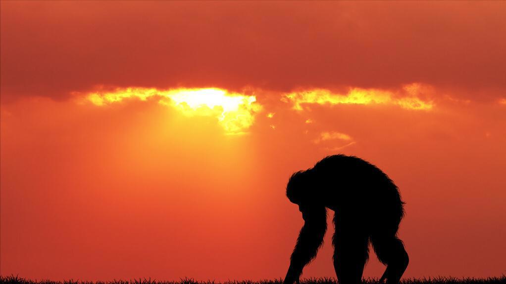 杀人最多的八种动物，恐怖到每年致死72万，“杀戮”机器颠覆三观