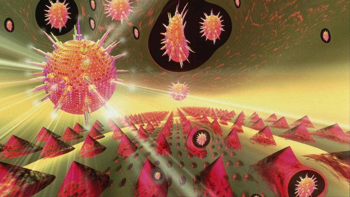 杀人最多的八种动物，恐怖到每年致死72万，“杀戮”机器颠覆三观